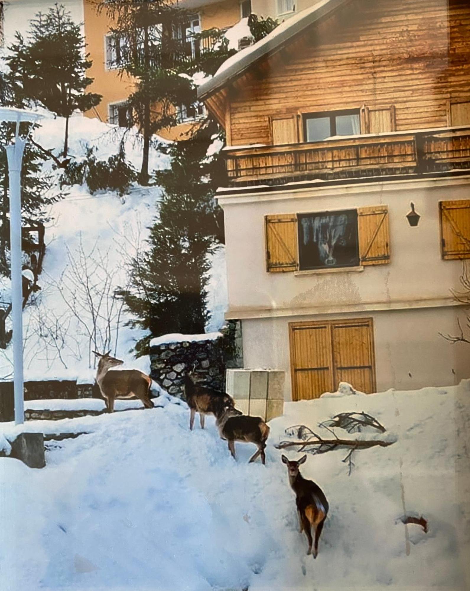 Chalet Familial Auron Εξωτερικό φωτογραφία