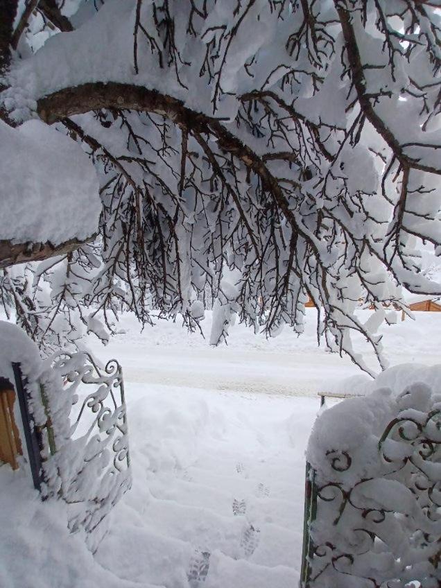 Chalet Familial Auron Εξωτερικό φωτογραφία